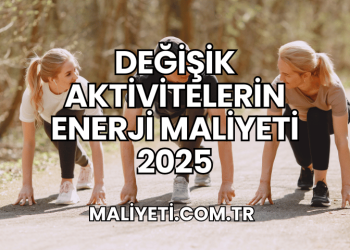 Değişik Aktivitelerin Enerji Maliyeti 2025