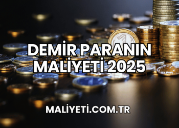 Demir Paranın Maliyeti 2025