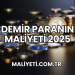 Demir Paranın Maliyeti 2025