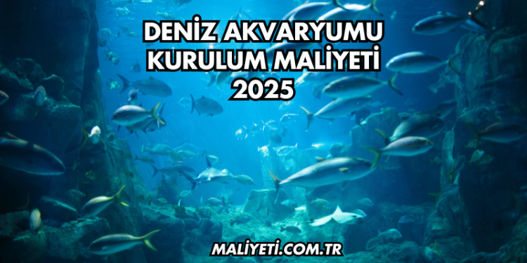 Deniz Akvaryumu Kurulum Maliyeti 2025