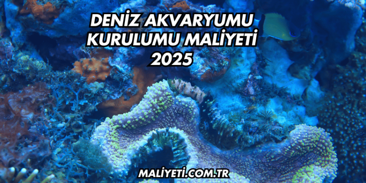 Deniz Akvaryumu Kurulumu Maliyeti 2025