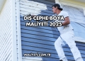 Dış Cephe Boya Maliyeti 2025