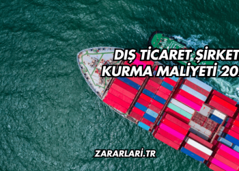 Dış Ticaret Şirketi Kurma Maliyeti 2025