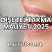 Dişe Tel Takma Maliyeti 2025
