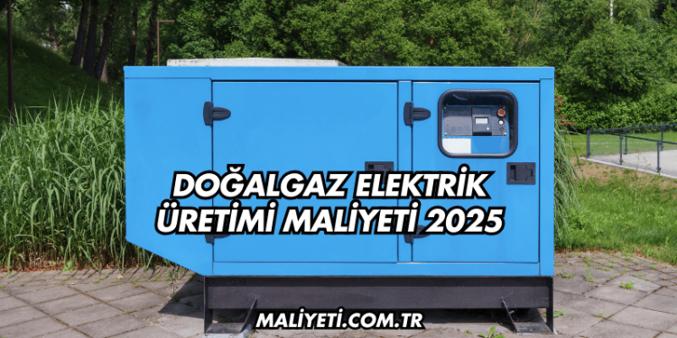 Doğalgaz Elektrik Üretimi Maliyeti 2025