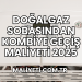 Doğalgaz Sobasından Kombiye Geçiş Maliyeti 2025