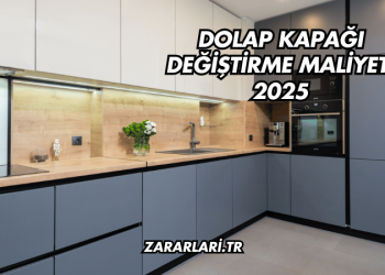 Dolap Kapağı Değiştirme Maliyeti 2025