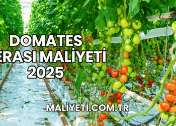 Domates Serası Maliyeti 2025