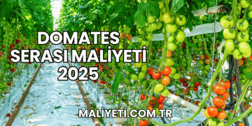 Domates Serası Maliyeti 2025