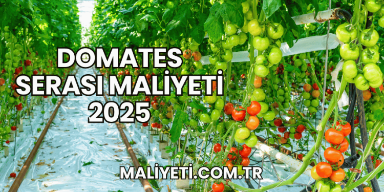 Domates Serası Maliyeti 2025