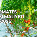 Domates Serası Maliyeti 2025