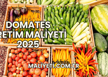 Domates Üretim Maliyeti 2025