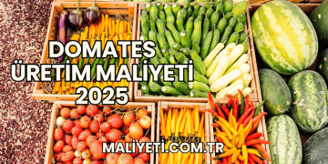 Domates Üretim Maliyeti 2025