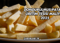 Dondurulmuş Patates Üretim Tesisi Maliyeti 2025