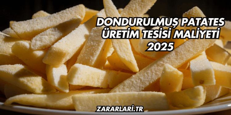 Dondurulmuş Patates Üretim Tesisi Maliyeti 2025