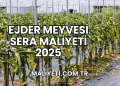 Ejder Meyvesi Sera Maliyeti 2025