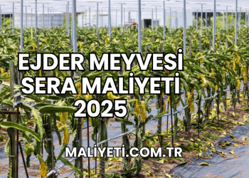 Ejder Meyvesi Sera Maliyeti 2025