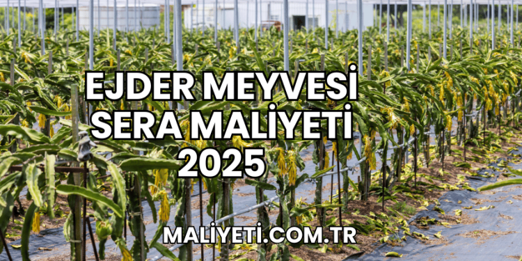 Ejder Meyvesi Sera Maliyeti 2025