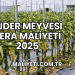Ejder Meyvesi Sera Maliyeti 2025