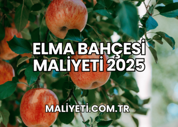 Elma Bahçesi Maliyeti 2025