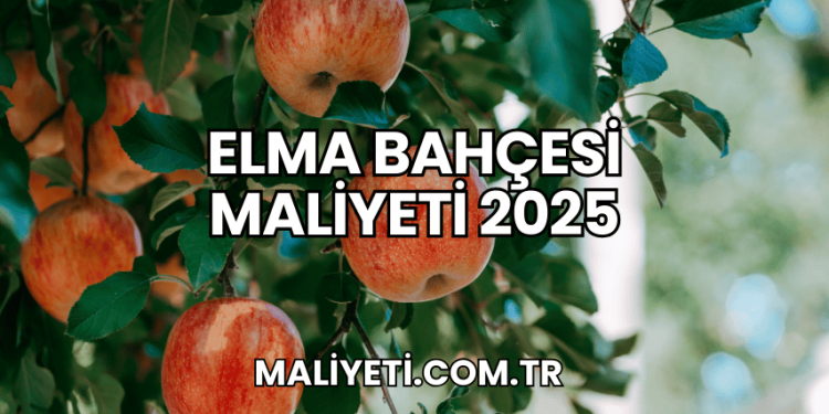 Elma Bahçesi Maliyeti 2025