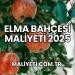 Elma Bahçesi Maliyeti 2025