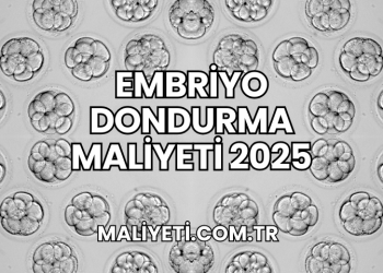 Embriyo Dondurma Maliyeti 2025