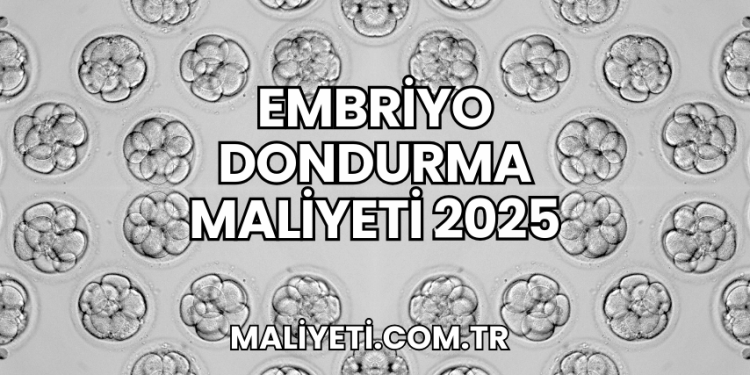 Embriyo Dondurma Maliyeti 2025