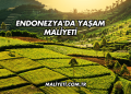 Endonezya'da Yaşam Maliyeti