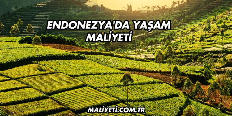 Endonezya'da Yaşam Maliyeti