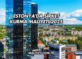 Estonya'da Şirket Kurma Maliyeti 2025