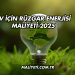 Ev İçin Rüzgar Enerjisi Maliyeti 2025
