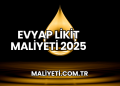 Evyap Likit Maliyeti 2025