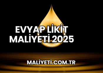 Evyap Likit Maliyeti 2025