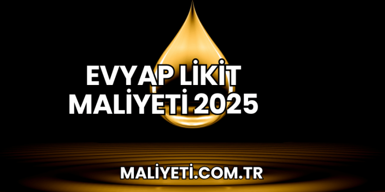 Evyap Likit Maliyeti 2025