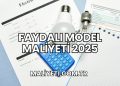 Faydalı Model Maliyeti 2025