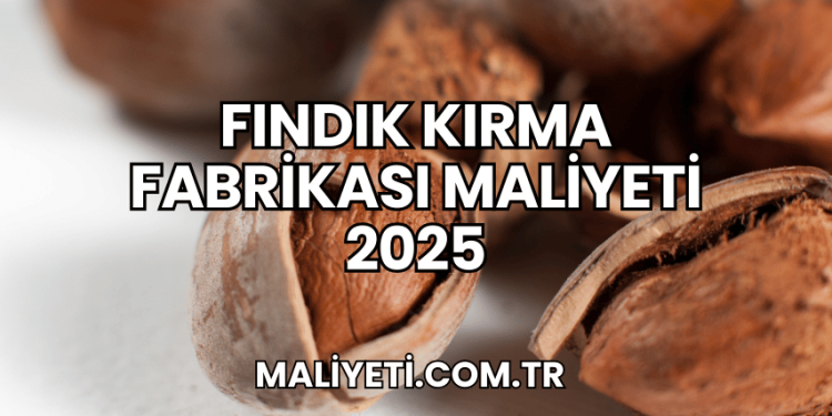 Fındık Kırma Fabrikası Maliyeti 2025