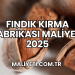 Fındık Kırma Fabrikası Maliyeti 2025