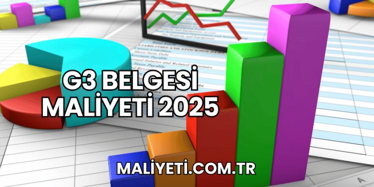 G3 Belgesi Maliyeti 2025