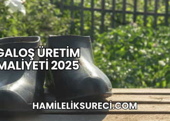 Galoş Üretim Maliyeti 2025