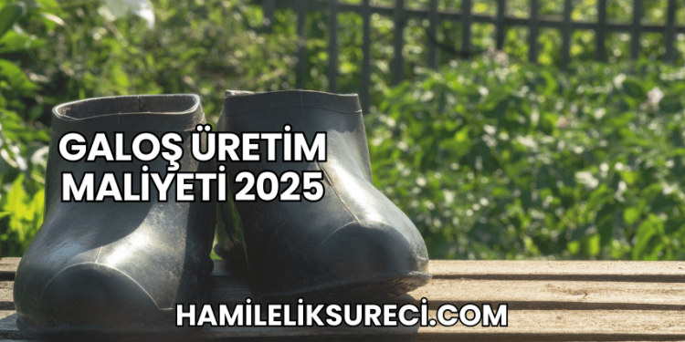 Galoş Üretim Maliyeti 2025