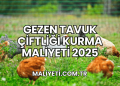 Gezen Tavuk Çiftliği Kurma Maliyeti 2025