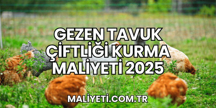 Gezen Tavuk Çiftliği Kurma Maliyeti 2025