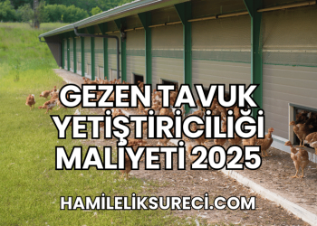 Gezen Tavuk Yetiştiriciliği Maliyeti 2025