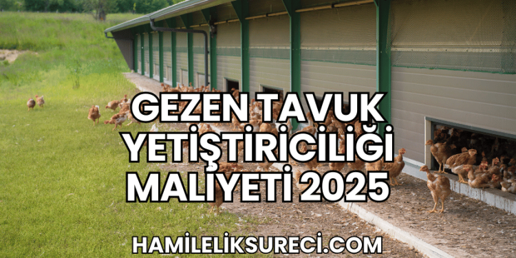 Gezen Tavuk Yetiştiriciliği Maliyeti 2025