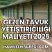 Gezen Tavuk Yetiştiriciliği Maliyeti 2025