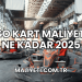 Go Kart Maliyeti Ne Kadar 2025