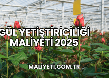 Gül Yetiştiriciliği Maliyeti 2025