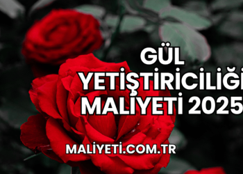 Gül Yetiştiriciliği Maliyeti 2025
