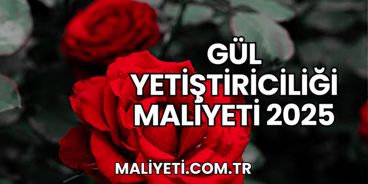 Gül Yetiştiriciliği Maliyeti 2025